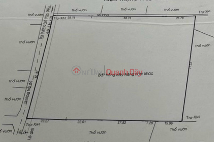 Property Search Vietnam | OneDay | Residential Sales Listings | OWNER'S LAND Need to Sell Quickly Land Lot in Phuoc Thanh Commune, Cu Chi District, HCMC