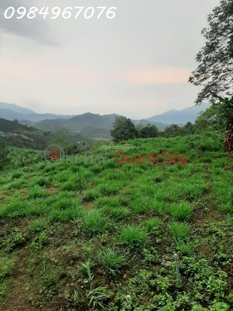 Selling 1.5 2.0 hectares of land with beautiful view, high profit, lots of potential in Loc Thanh, Bao Lam _0