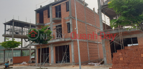 HOUSE FOR SALE DAI KHANH BINH STORE AREA (HANHL-3691533975)_0