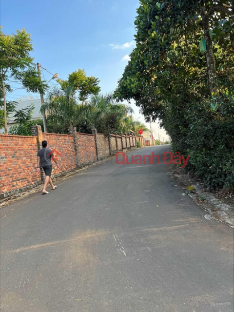 BEAUTIFUL LAND - GOOD PRICE - Urgent Sale Land Lot P2 Phan Dinh Phung Street, Ward 2, Bao Loc, Lam Dong _0