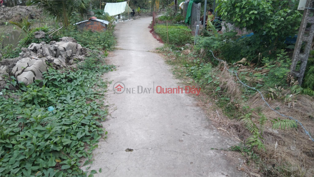 Property Search Vietnam | OneDay | Nhà ở | Niêm yết bán, CHÍNH CHỦ CẦN BÁN NHANH Lô Đất Tại xã Đông Thuận, huyện Thới Lai, Cần Thơ