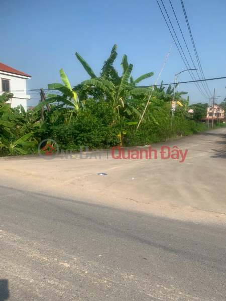 Property Search Vietnam | OneDay | Nhà ở | Niêm yết bán, Chính chủ bán đất Thạch Sơn, Lâm Thao - 170m2, 2 mặt tiền, vị trí đẹp, kinh doanh cực thuận lợi