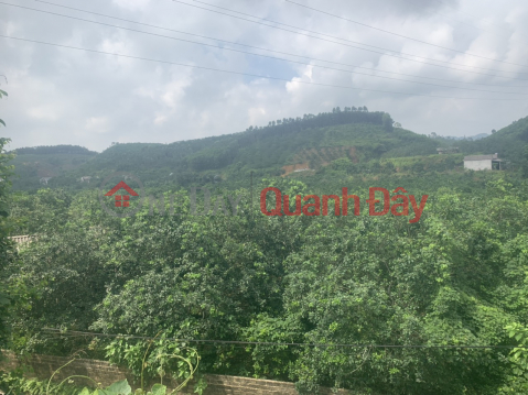 The owner needs to sell quickly the land lot Belonging to Area 5 Cau Mo - Dai Minh Commune - Yen Binh District - Yen Bai City. _0