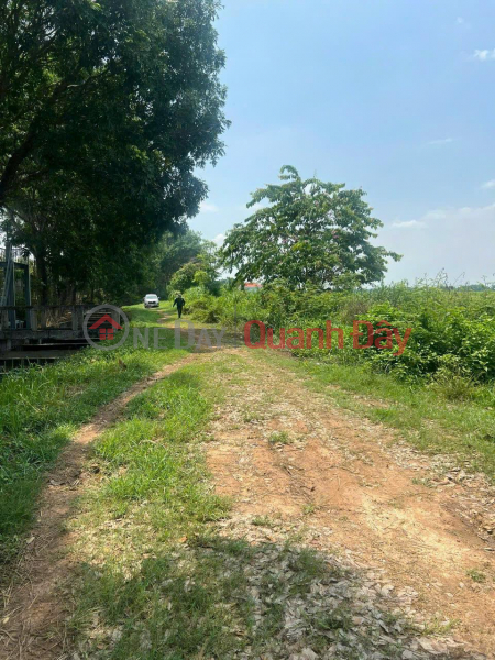 Property Search Vietnam | OneDay | Residential | Sales Listings, Owner needs to quickly sell beautiful land - good price in Thai My commune, Cu Chi, HCM