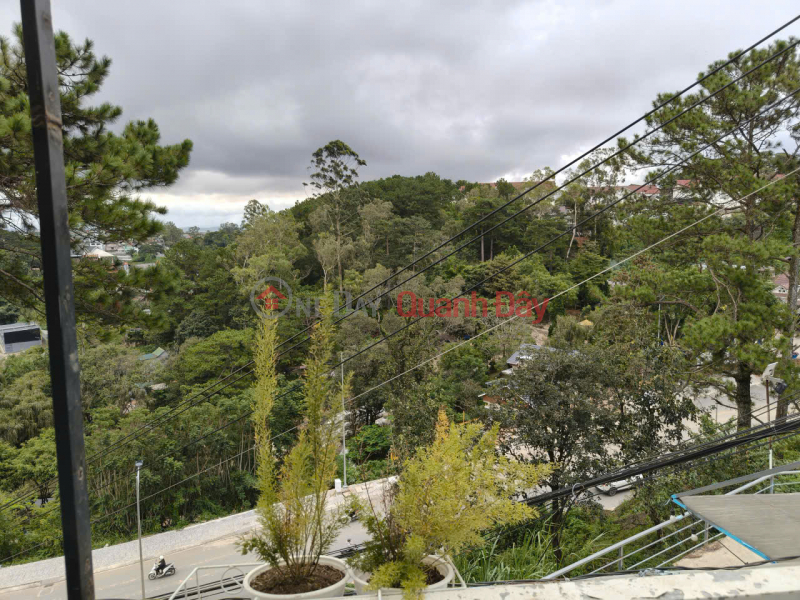 đ 1,65 tỷ | Bán Homestay Dalat p5 Mini Giá 1 Tỷ 650