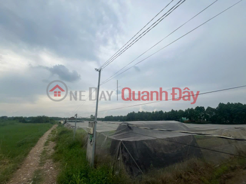 PROFITABLE INVESTMENT - Owner Needs to Sell a Beautiful Land Plot in Xuan Thoi Thuong Commune, Hoc Mon, HCM _0