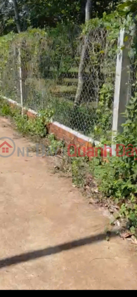 đ 7,9 tỷ CHÍNH CHỦ CẦN BÁN Nhanh Vườn Sầu Riêng 12,201.2m2 Bảo Bình, Cẩm Mỹ, Đồng Nai