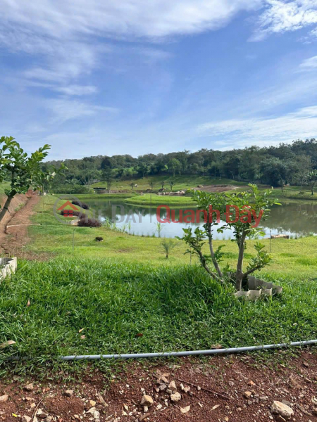 BEAUTIFUL LAND - PROFITABLE INVESTMENT - Need to Sell Land Plot Quickly in Song Xoai, Phu My Town, BRVT Sales Listings