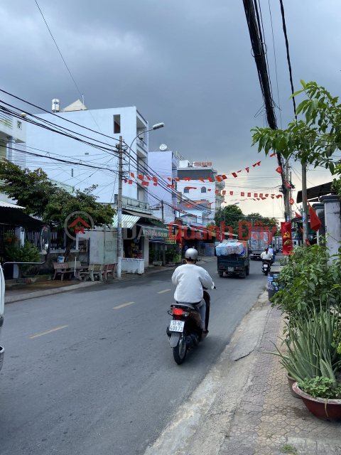 Owner needs to quickly sell house and land in beautiful location in Binh Tan district, Ho Chi Minh City _0