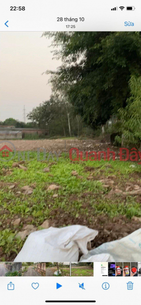 BEAUTIFUL LAND - GOOD PRICE - Owner Advertises Need Money For Investment Urgent Sale Land Plot In Ta Thanh Oai Sales Listings