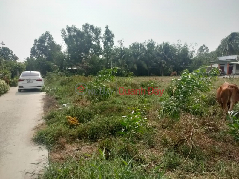 đ 580 Million PRIME LAND - GOOD PRICE FOR SALE In Cong Lac Hamlet, Binh Dong Commune, Go Cong Town, Tien Giang