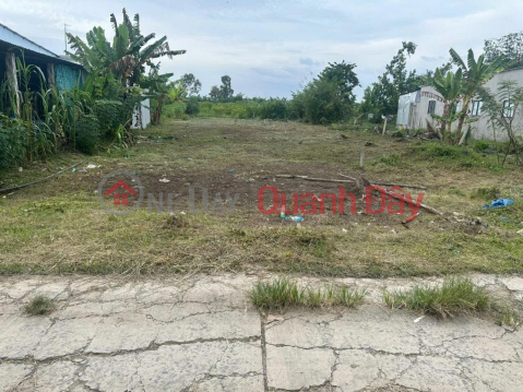 BEAUTIFUL LAND - Quick Sale of Land Lot in Long Son Hamlet, Long Thanh Commune, Phung Hiep District, Hau Giang _0