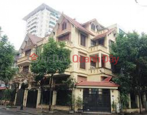 Selling villa in Me Tri Ha urban area 224.5m2, corner lot, price 52.8 billion VND _0