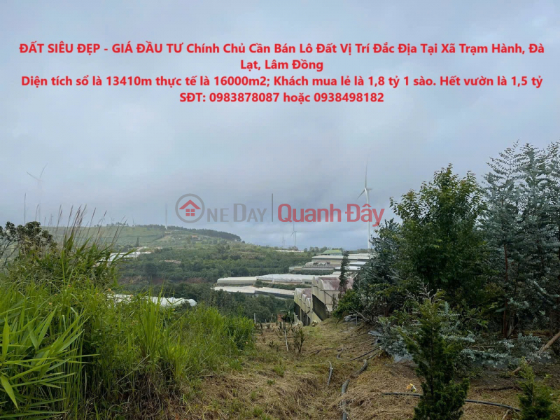 SUPER BEAUTIFUL LAND - INVESTMENT PRICE Owner Needs to Sell a Land Lot in a Prime Location in Tram Hanh Commune, Da Lat, Lam Dong Sales Listings