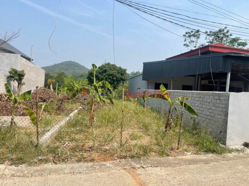 Owner land 230m2 near Xuan Khanh market - Good price - Son Tay, Hanoi, Vietnam Sales, đ 2 Billion