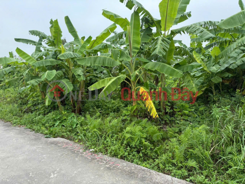 PRICE 1X MILLION\/M² – LARGE PLOT OF LAND ON TRUNG NGHIA ROAD, ROAD WITH CAR ACCESS. ZALO 0567 222 555 _0