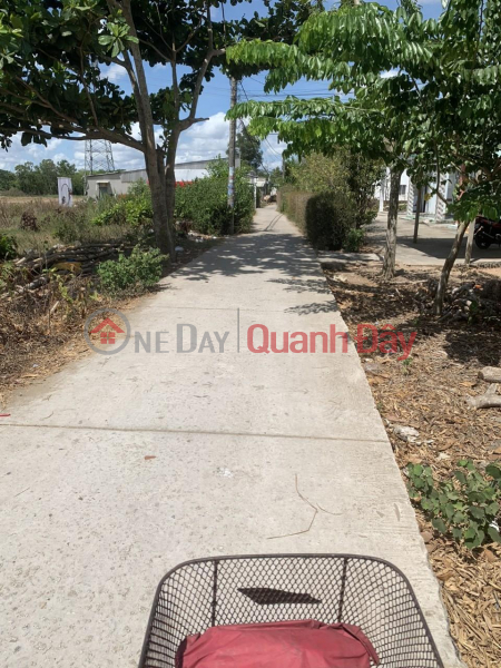 Property Search Vietnam | OneDay | Residential, Sales Listings | Owner Needs to Sell Land in Nice Location in Dai Tam Commune, My Xuyen, Soc Trang