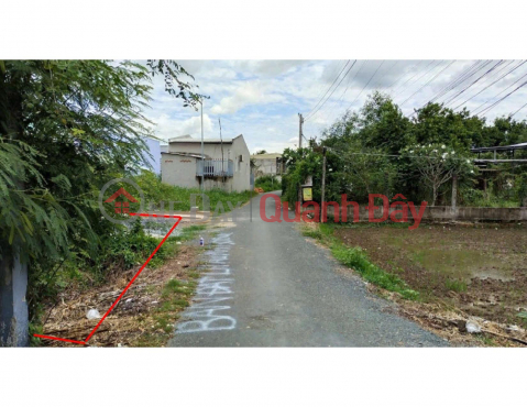 OWNER Needs to Sell Land on VH Street, Thanh Ba Hamlet, My Loc Commune, Can Giuoc, Long An _0