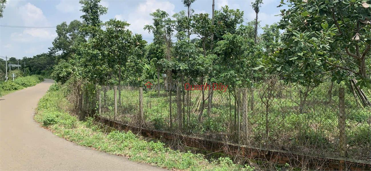 Property Search Vietnam | OneDay | Residential Sales Listings BEAUTIFUL LAND - PROFITABLE INVESTMENT - Owner sells land lot in Xa Bang, Chau Duc, Ba Ria Vung Tau.