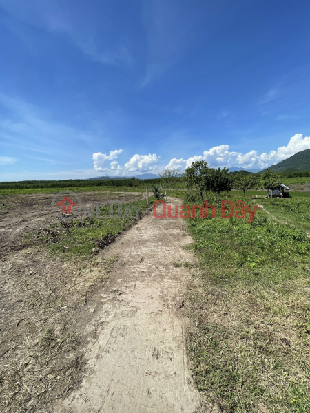 Land for sale Hon Lay Khanh Hiep Khanh Vinh for only 200 million\\/lot for 1000m2 | Vietnam | Sales | đ 200 Million