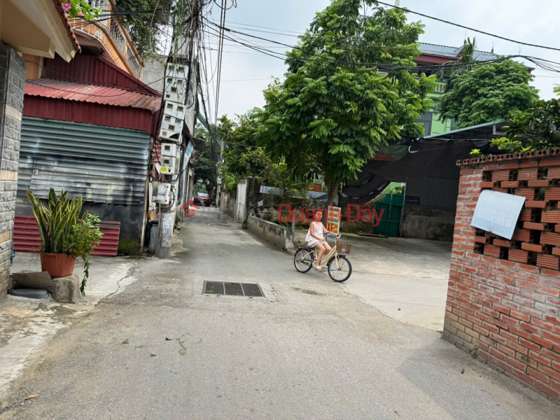 Property Search Vietnam | OneDay | Nhà ở, Niêm yết bán, Bán đất thổ cư 86m², hướng Đông Nam, trung tâm Chi Đông, Mê Linh, Hà Nội