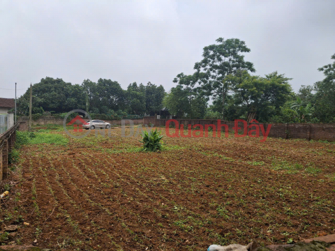 Beautiful land for sale in Tề Lễ, Tam Nông, Phú Thọ (now part of Thọ Văn) - Large area - Price only 590 million VND _0