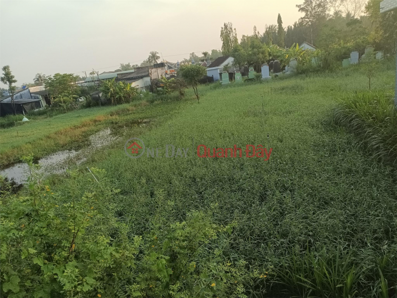 FOR QUICK SALE OF OWNER'S Land Plot Prime Location - CHEAP PRICE - In Go Cong Tay District, Tien Giang Sales Listings