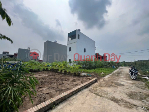 For only 3.15 billion VND - own a 52m2 plot of land in Ấp Tre village with a huge 6m frontage - right next to Quang Minh Industrial Park. _0