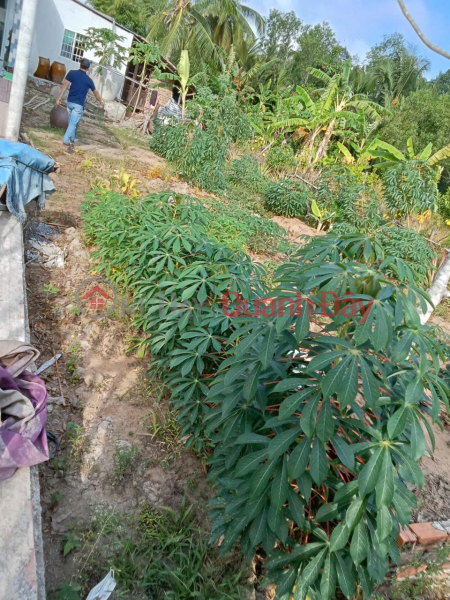 , Làm ơn chọn, Nhà ở Niêm yết bán đ 320 triệu