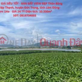 PRIME LAND - SUPERB PRICE - LAND FOR SALE WITH BEAUTIFUL VIEW IN DUC TRONG, LAM DONG - OVER 1 HECTARE - PRICE 24 BILLION VND _0