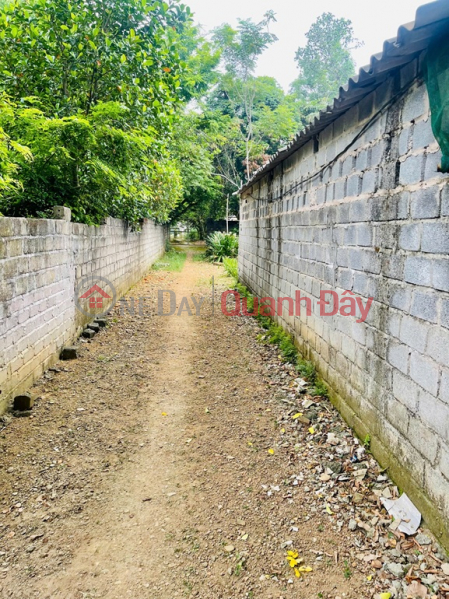 Chính chủ cần bán khu đất đẹp tiềm năng đầu tư cao Phương Hạnh , Xã Tân Tiến, Huyện Chương Mỹ, Hà Nội, Việt Nam | Bán, đ 43 tỷ