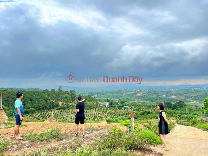 BEAUTIFUL LAND - GOOD PRICE - Land Lot For Sale In Tan Ha Commune, Lam Ha District, Lam Dong Sales Listings