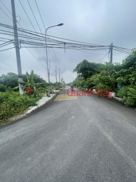 Land for sale in Dong Hoi Dong Anh 59m by car, near Tu Lien Bridge, Vietnam, Sales | đ 3.7 Billion