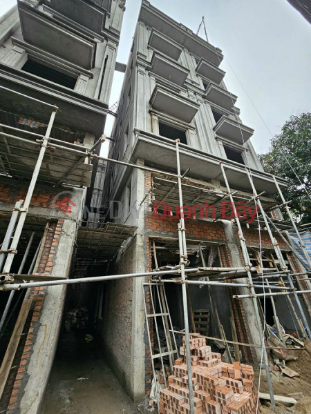 Property Search Vietnam | OneDay | Residential | Sales Listings | Newly built Ngoc Tri house for sale, super nice, 30m2 X6 floors, 1 car away from the house.