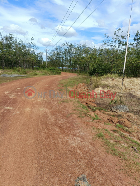 ₫ 5.8 Billion, Owner Needs to Sell Land Lot with Beautiful Location in Loc Thanh Commune, Loc Ninh, Binh Phuoc