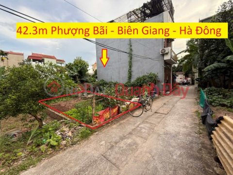 OWNER SELLS 42.3M2 LAND LOT IN BIEN GIANG-CHUONG MY WARD-HANOI _0