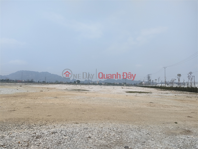 Selling 1.7ha of land for warehouse and factory for 50 years at the road surface, Hoanh Bo District, Quang Ninh Province Sales Listings