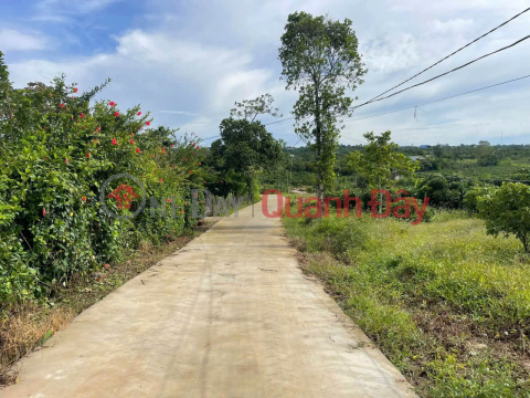 Beautiful land in Xuan Phu, Ea Kar, Dak Lak - 200m2, fully residential land - Only 150m from National Highway 29 - Price 189 million VND _0