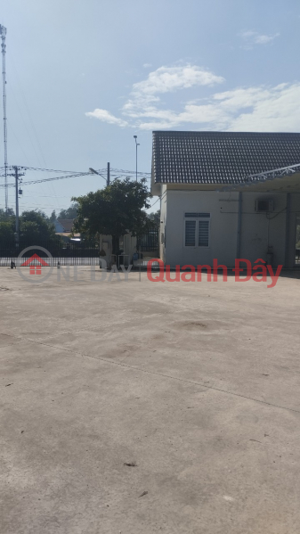 Land and Factory for Rent More than 4600m2 in Phuoc Tan, Bien Hoa Rental Listings