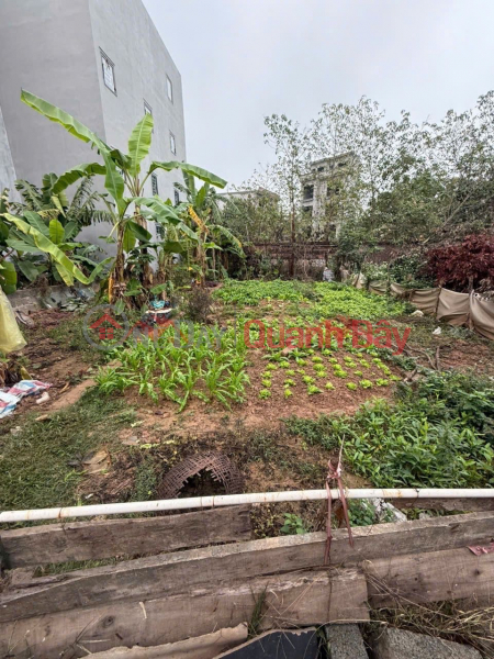 Property Search Vietnam | OneDay | Nhà ở | Niêm yết bán, CHÍNH CHỦ CẦN BÁN LÔ ĐẤT 44,3M TẠI PHƯỢNG NGHĨA-PHỤNG CHÂU-CHƯƠNG MỸ-HÀ NỘI