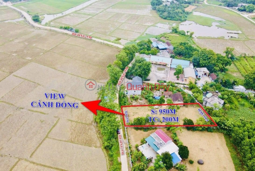 Bán lô đất 955m 200m ONT, Lương Sơn, Hòa Bình. | Việt Nam, Bán đ 2,9 tỷ