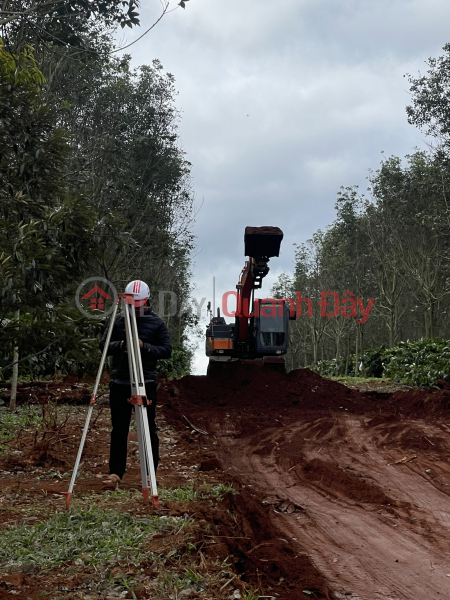 Cùng theo em đi mua đất ở Tây Nguyên thôi Niêm yết bán