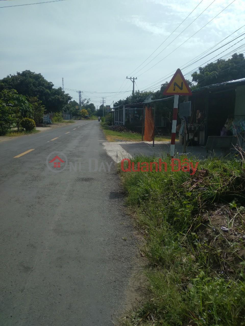 OWNER NEEDS TO SELL FAST Front Lot In Thanh Hai Commune, Thanh Phu District, Ben Tre _0