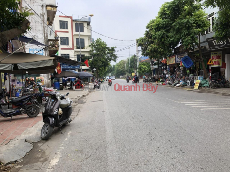 Property Search Vietnam | OneDay | Residential | Sales Listings | Own a House with Prime Location In Thuy Lam Commune, Dong Anh District, Hanoi City