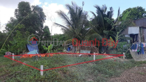 BEAUTIFUL LAND - GOOD PRICE - OWNERS Need to Sell Beautiful Land Plot Urgently Location in Binh Chanh District _0