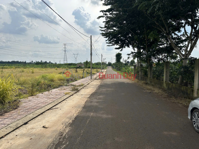 đ 950 Million | Beautiful land - good price Need to quickly sell a plot of land in a beautiful location in Thanh Binh commune, Trang Bom district, Dong Nai province