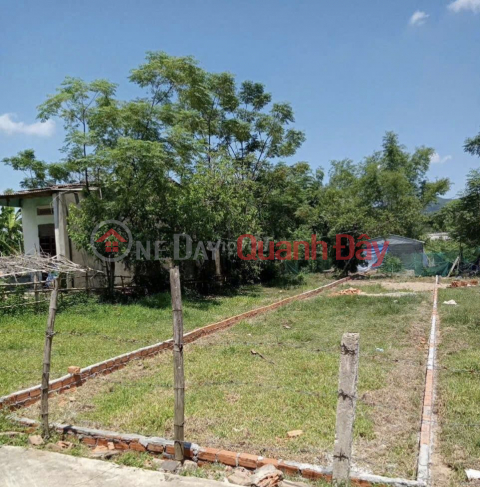 Owner needs to sell 225m2 land lot - Phu Trung 6, Dai Hiep Commune, Dai Loc District, Quang Nam _0