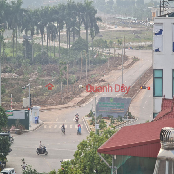 Property Search Vietnam | OneDay | Residential, Sales Listings | 7-storey house, 707m2 floor. 3 frontages, large trucks can pass each other at Trau Quy, bustling business.