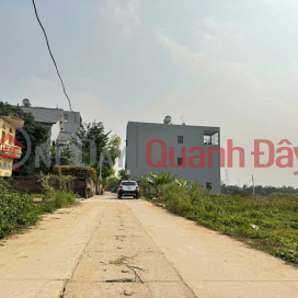Land for sale in group 10, Quang Minh, Me Linh. Near Tue Tinh Medical and Pharmaceutical College and Industrial Park. _0