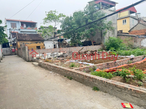 Land for sale in group 7, Quang Minh, Me Linh. Near Vo Van Kiet street and industrial park. _0